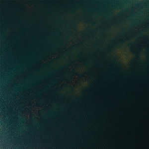 黑人的尺寸能到肚子
